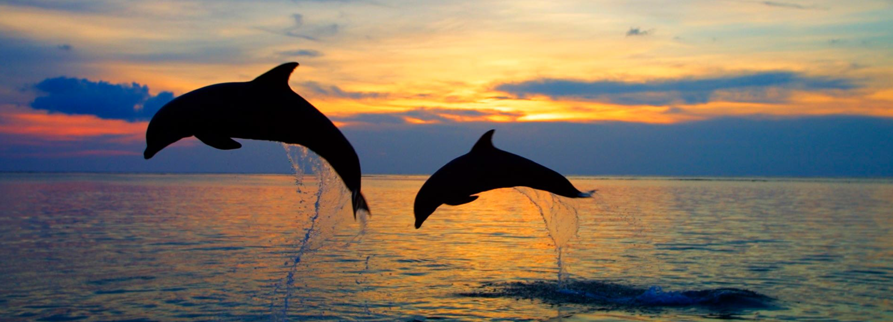 Lovina og The Lovina Bali