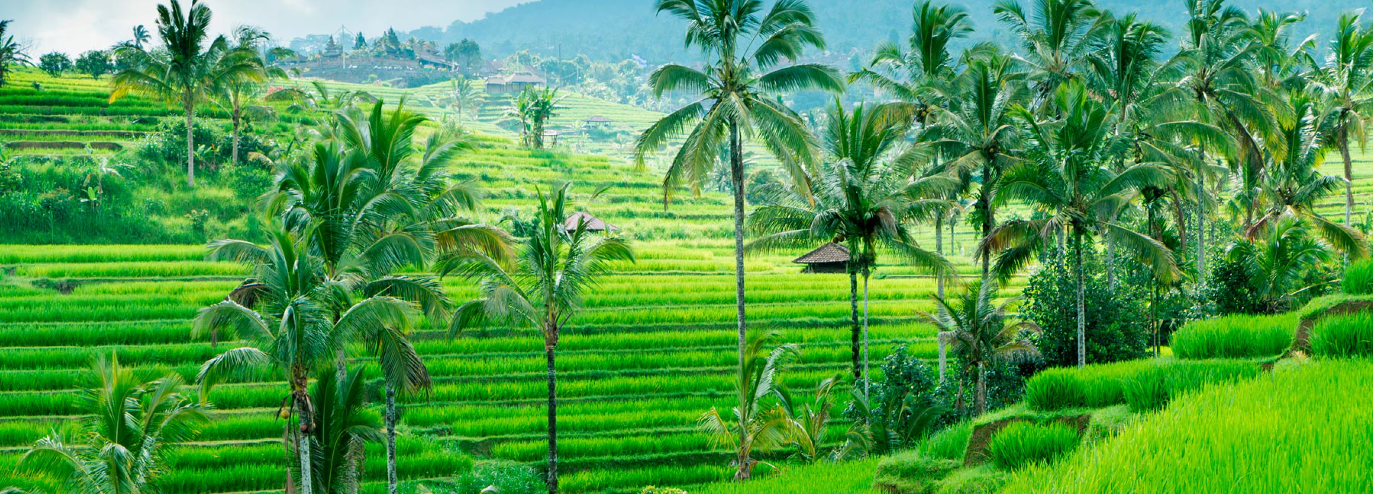 Ubud og The Alena Resort